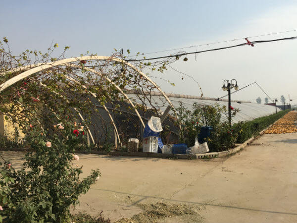 農業(yè)園區(qū)環(huán)境